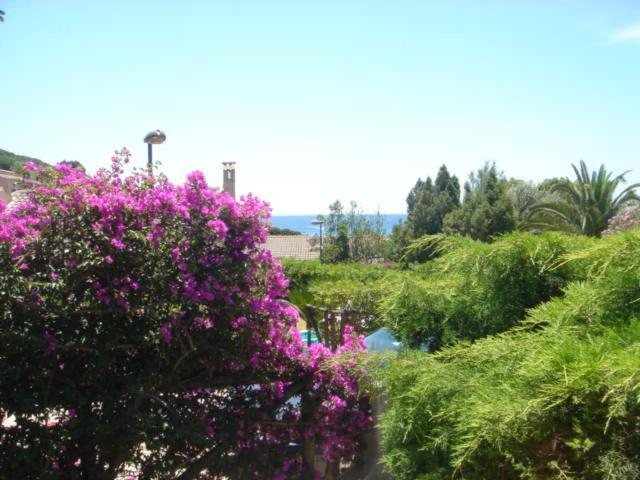 Villa Rosetta Киа Екстериор снимка